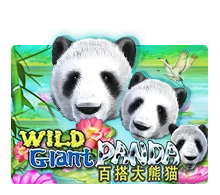 Wild Giant Panda - JFGAMING