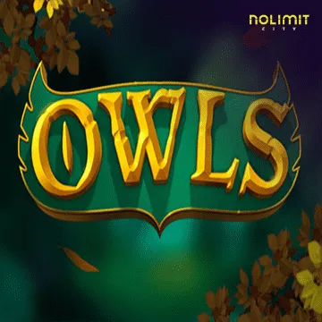 Owls - JFGAMING